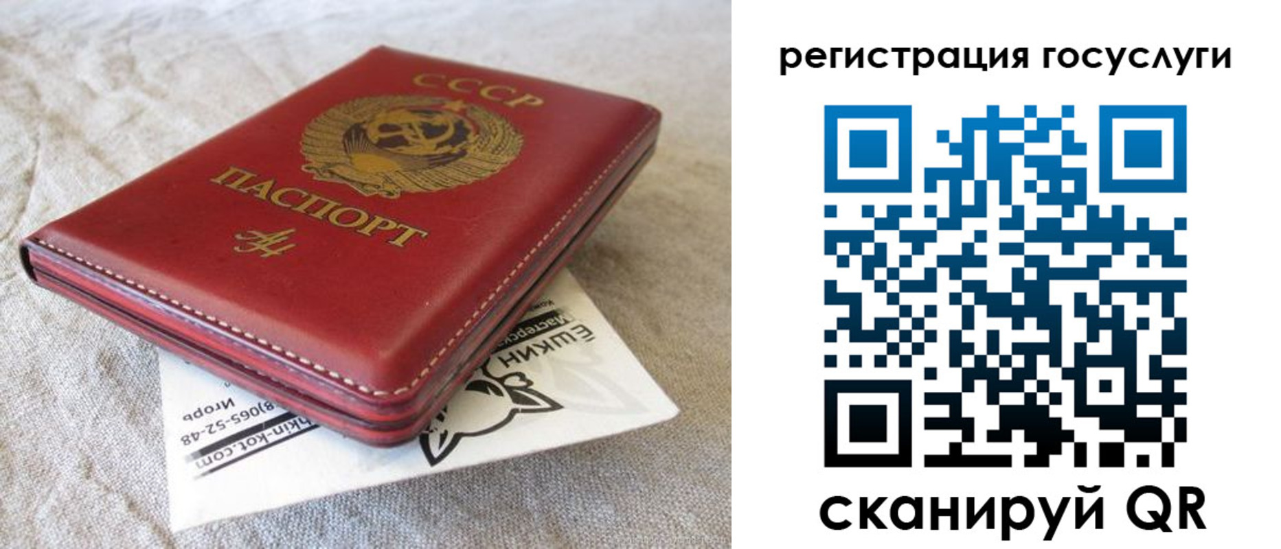 регистрация для школы в Дорогобуже